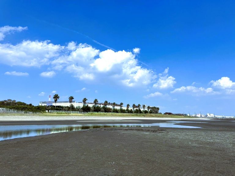 夏目前🌞