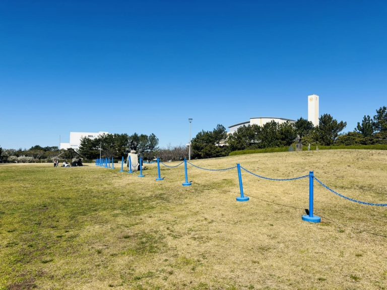 最近のバーベキュー広場♡