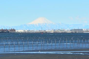 ふなばし富士山