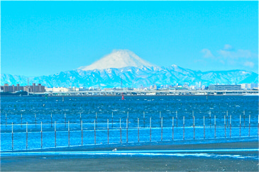 ふなばし三番瀬富士山