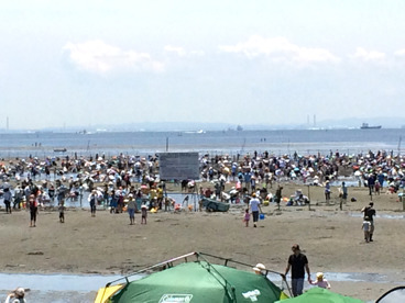 三番瀬　潮干狩り